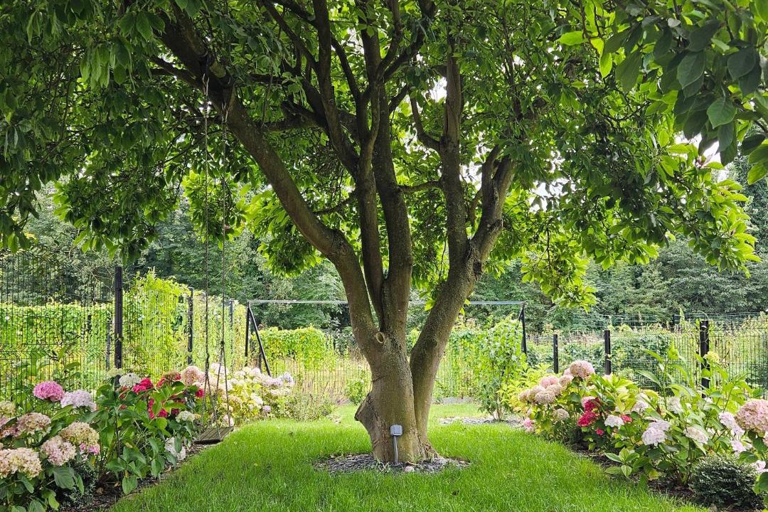 Photo of Others in Quievrechain