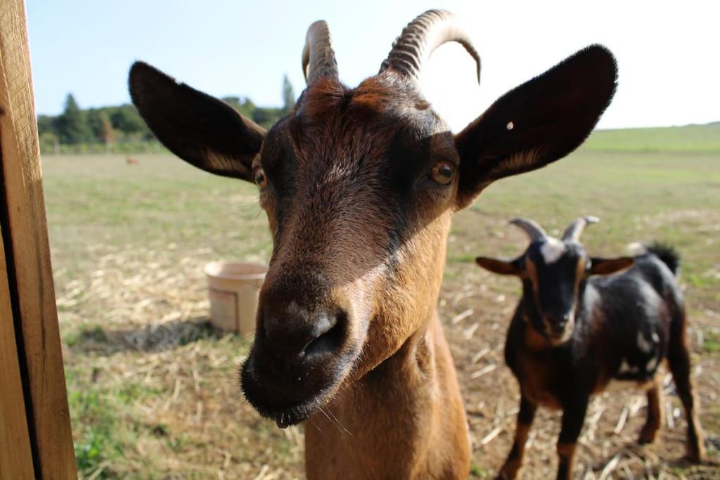 Photo of Others in Cendrieux