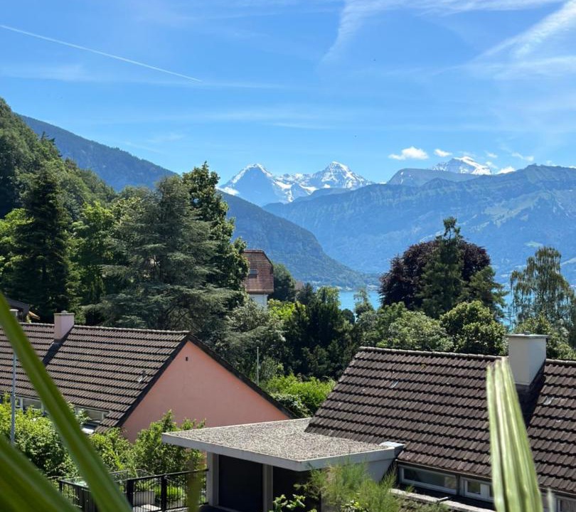 Photo of Others in Goldiwil