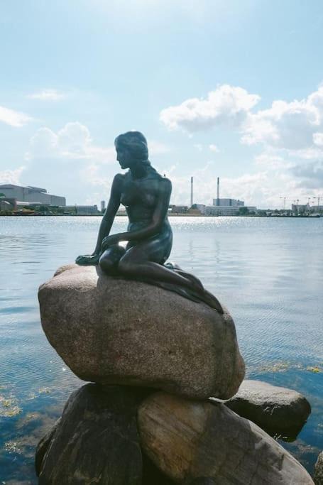 Photo of Others in Amager