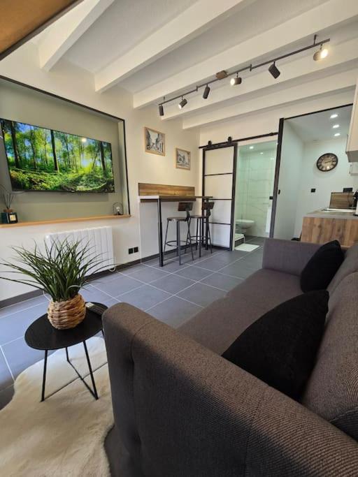 Photo of Livingroom in La Verpilliere