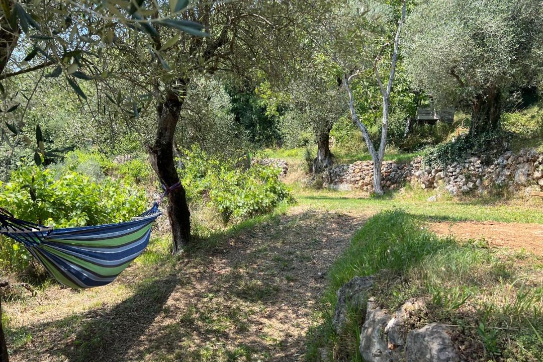 Photo of Others in Utelle