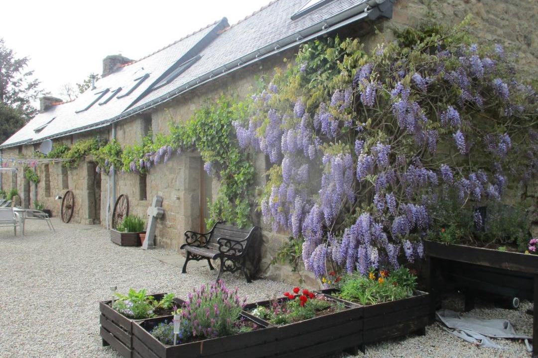 Photo of Others in Saint-Nicolas-du-Pelem