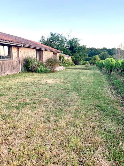 Photo of Others in Sauternes