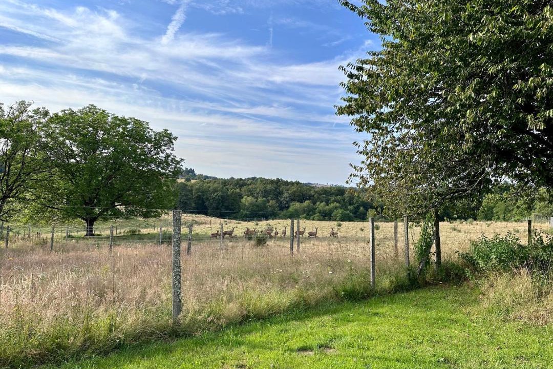 Photo of Others in Glandon