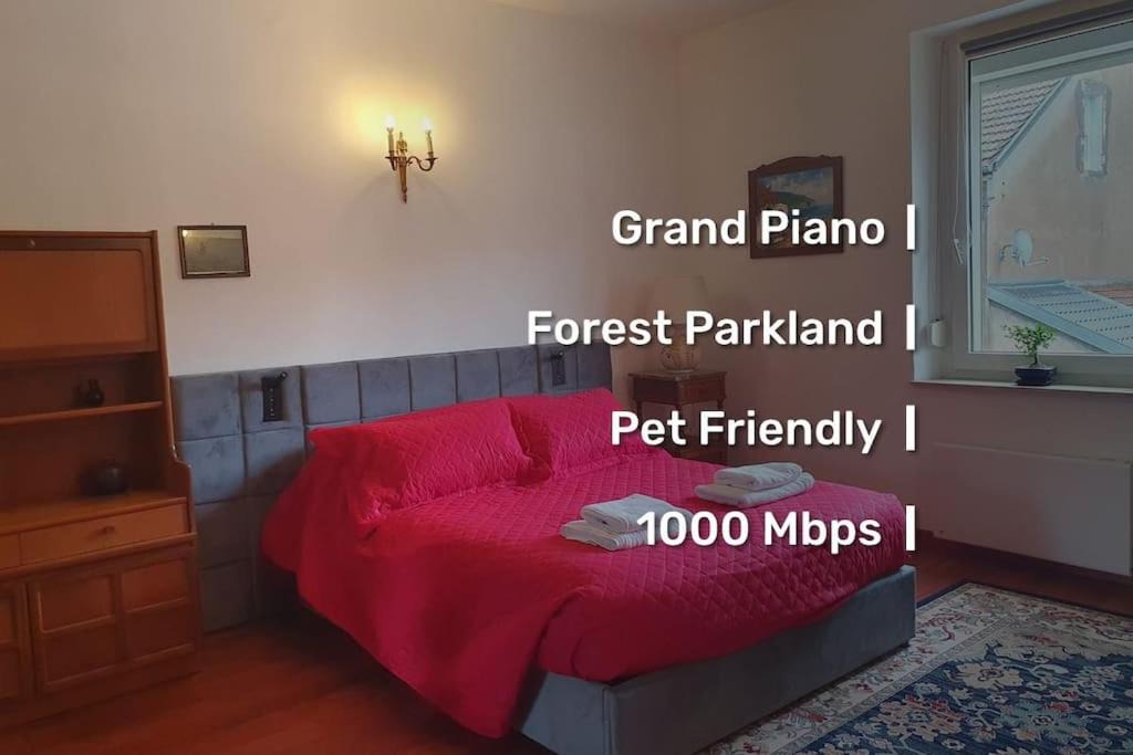 Photo of Others in Nilvange