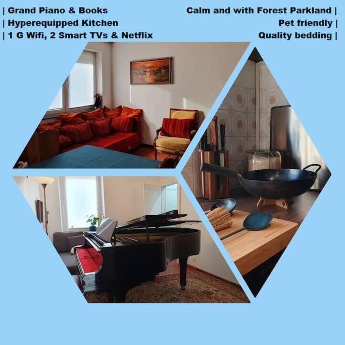 Photo of Livingroom in Nilvange