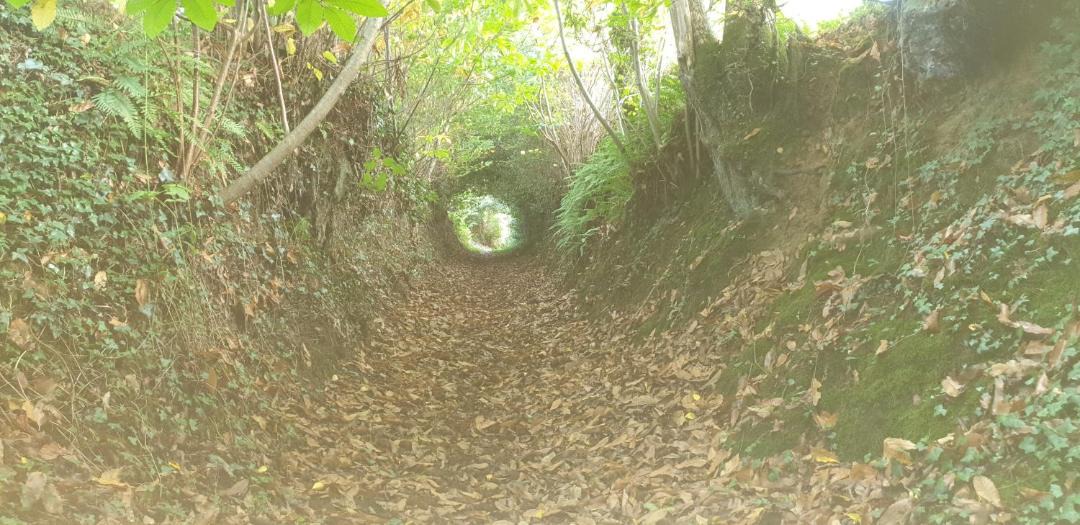 Photo of Others in Mezieres-sur-Couesnon
