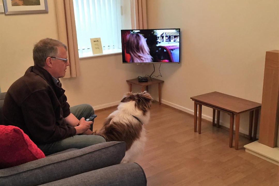 Photo of Livingroom in Llannon