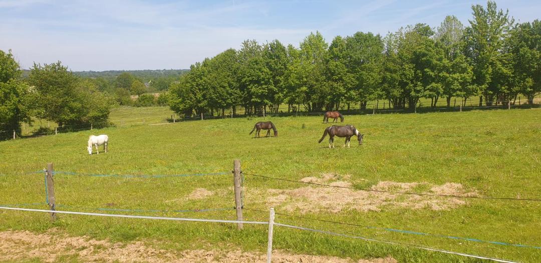 Photo of Others in Mezieres-sur-Couesnon