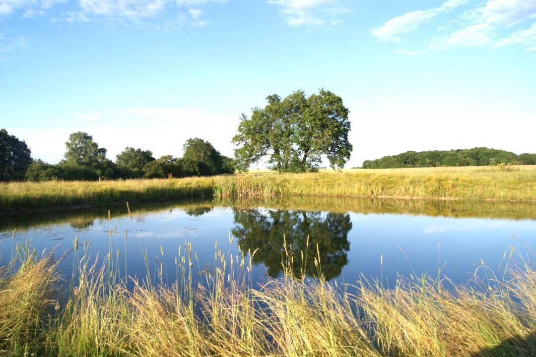 Photo of Others in Bungay