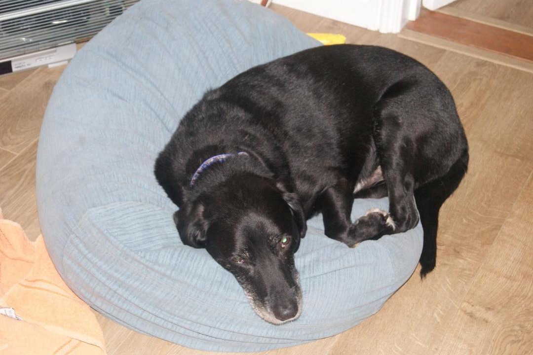 Photo of Others in Bungay