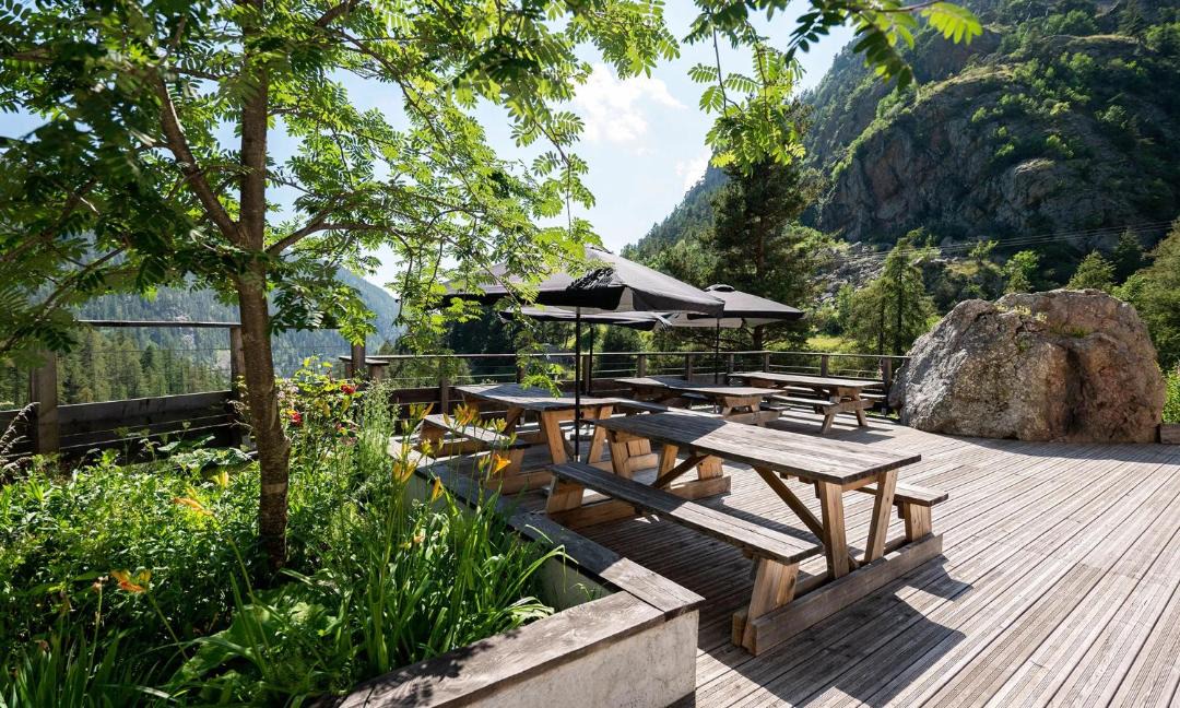 Photo of Others in Belvedere