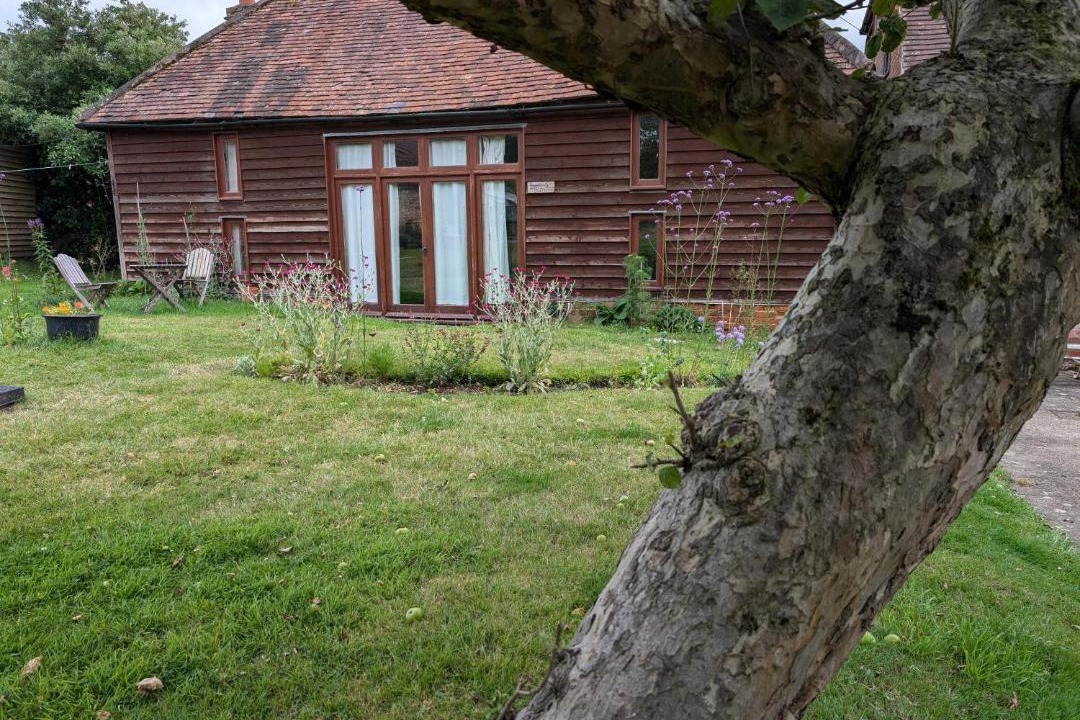 Photo of Buildings in Netley