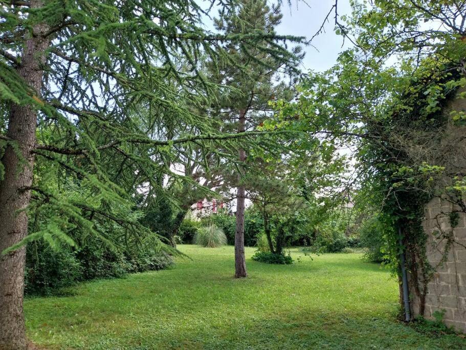 Photo of Others in Mellecey