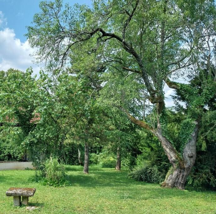 Photo of Others in Mellecey