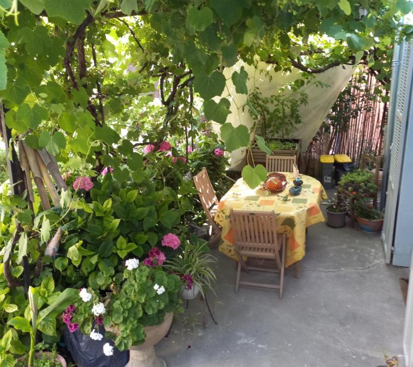 Photo of Others in Belvedere