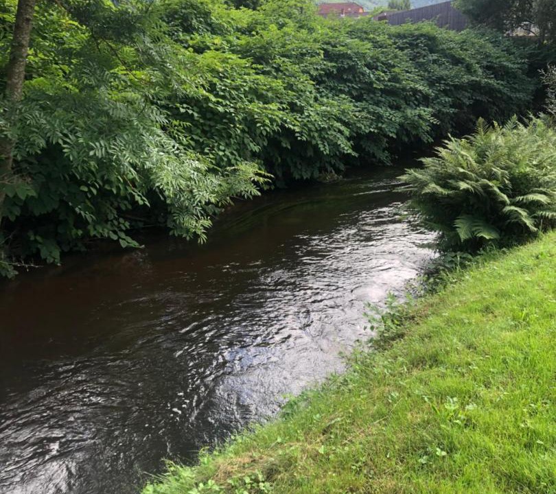 Photo of Others in Raon-l'Etape