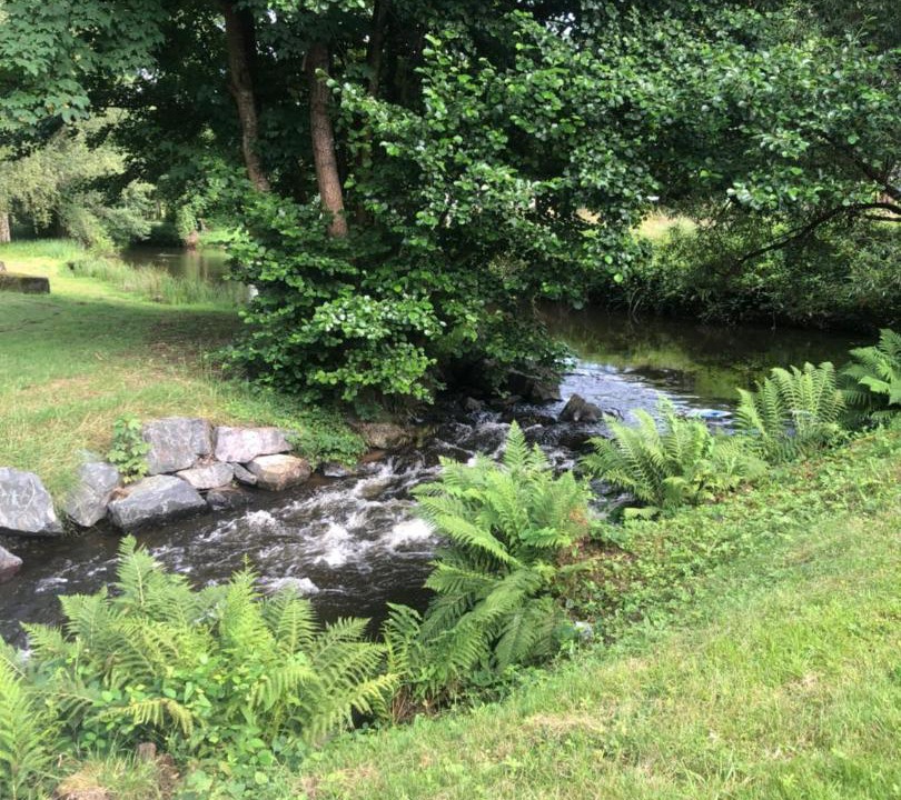 Photo of Others in Raon-l'Etape