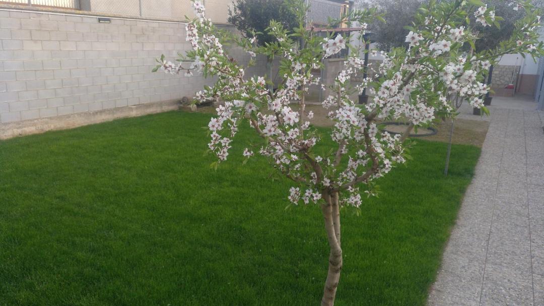 Photo of Outdoor in Ivars D'Urgell