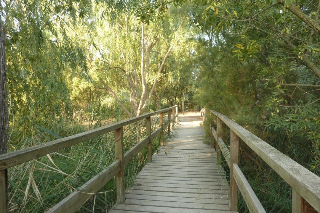 Photo of Others in Ivars D'Urgell