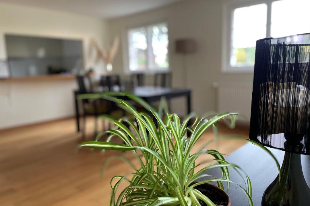 Photo of Livingroom in Aclens