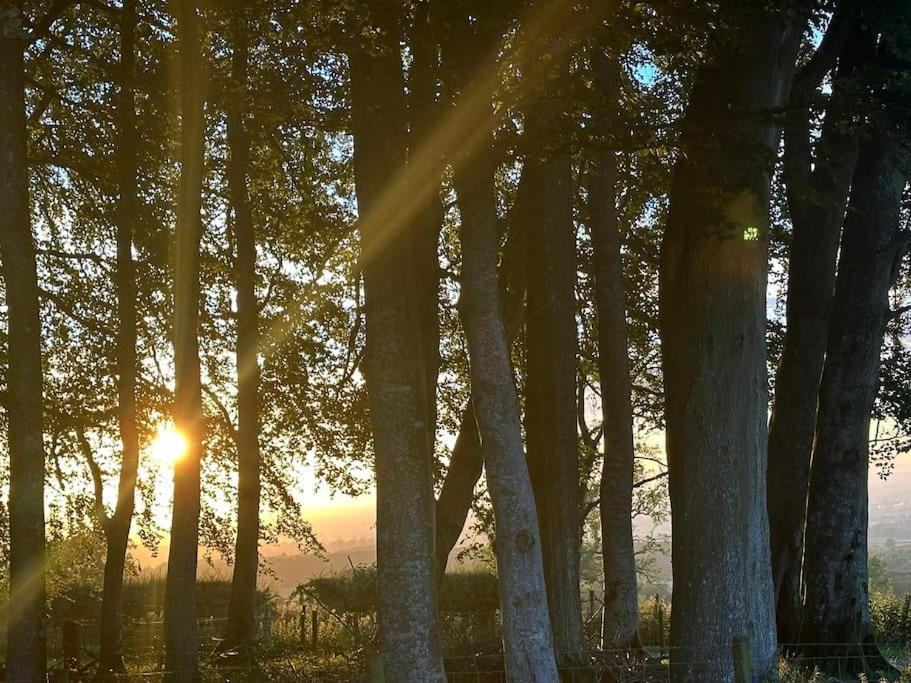 Photo of Buildings in Westward