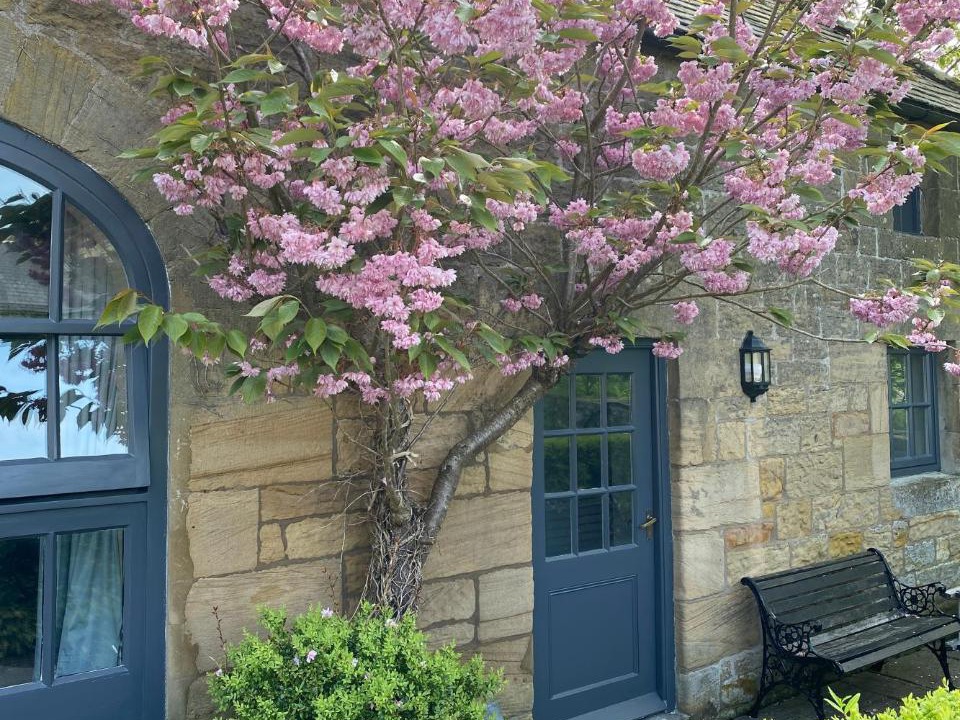 Photo of Buildings in Kirkwhelpington
