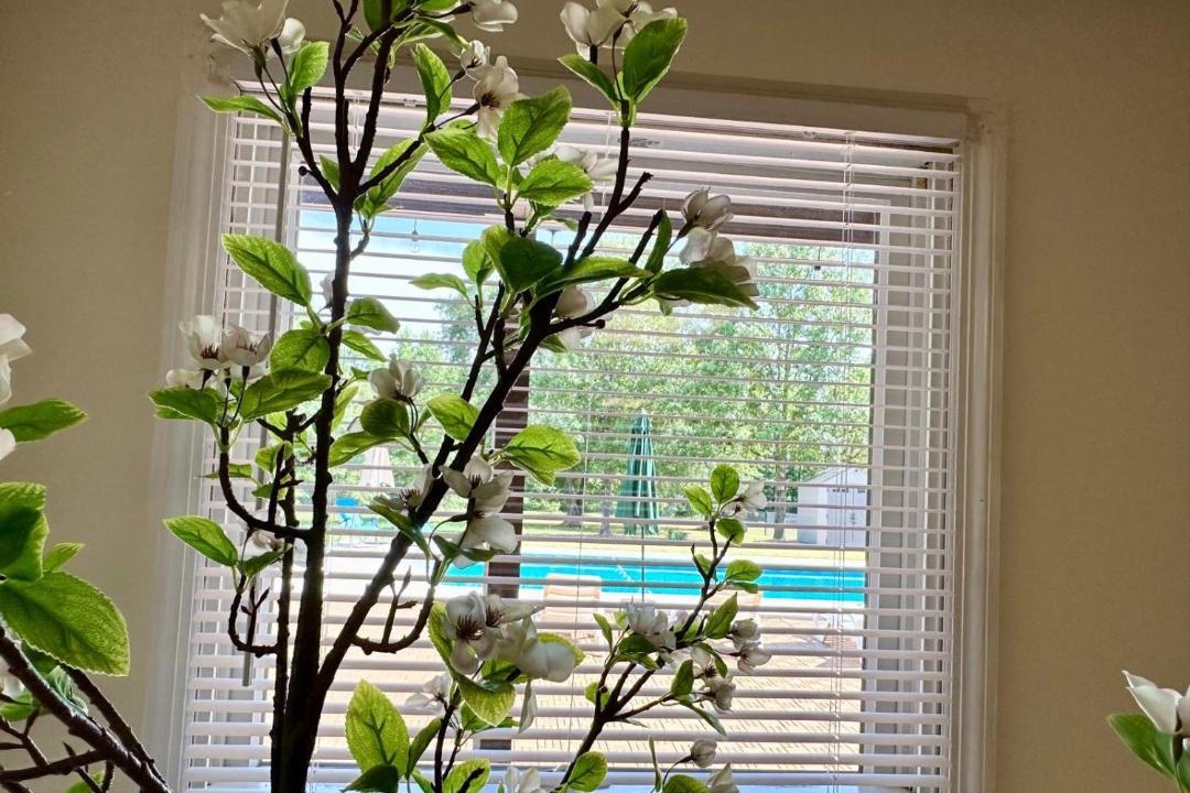 Photo of Others in Cullman