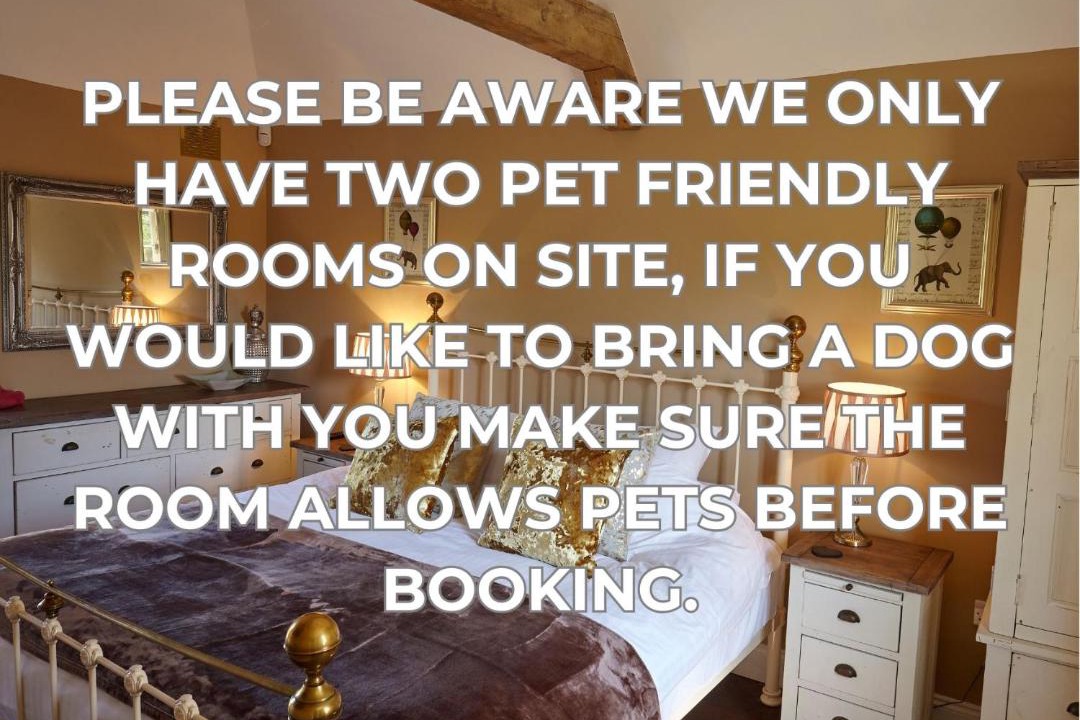 Photo of Others in Ashford