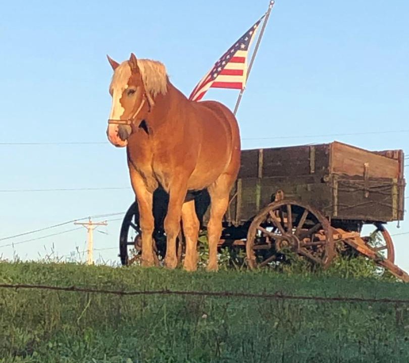 Photo of Buildings in Baraboo