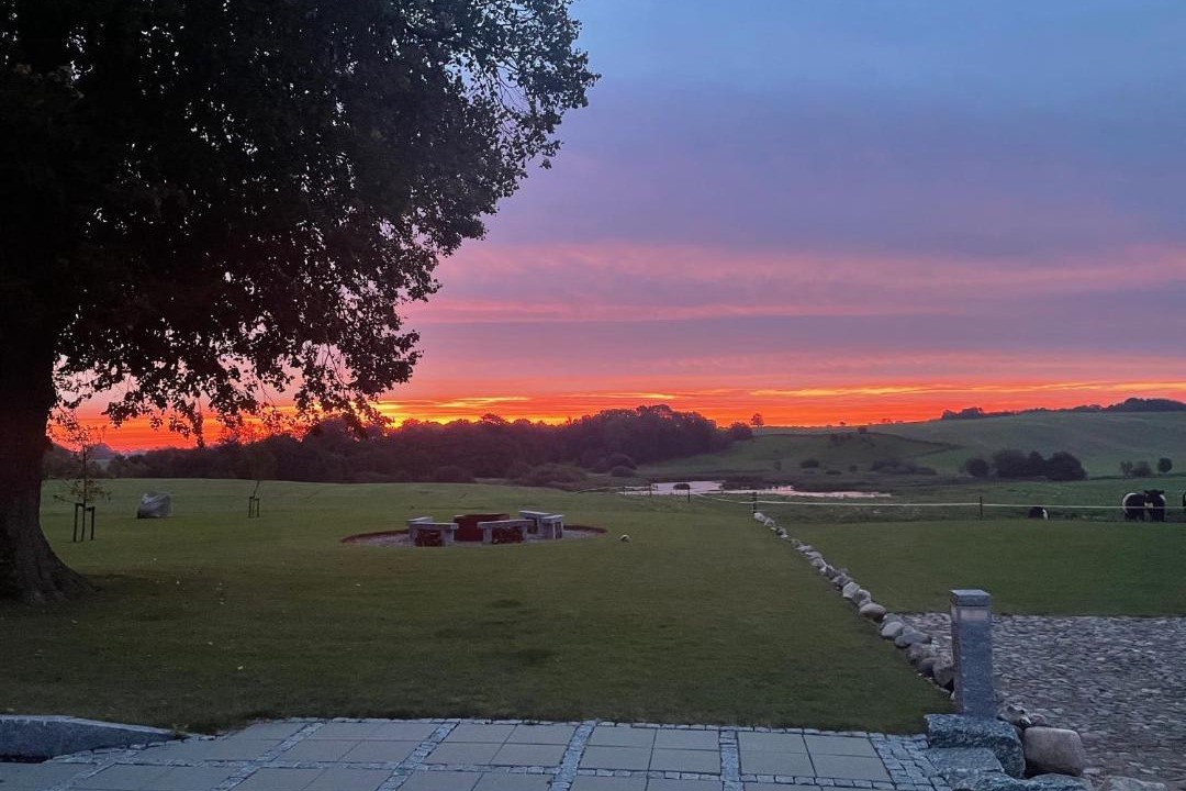 Photo of Others in Stouby