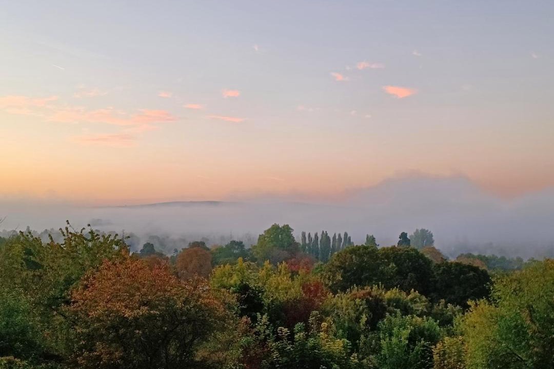 Photo of Others in Vaux-sur-Seine
