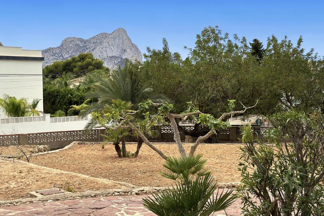 Photo of Others in Calpe