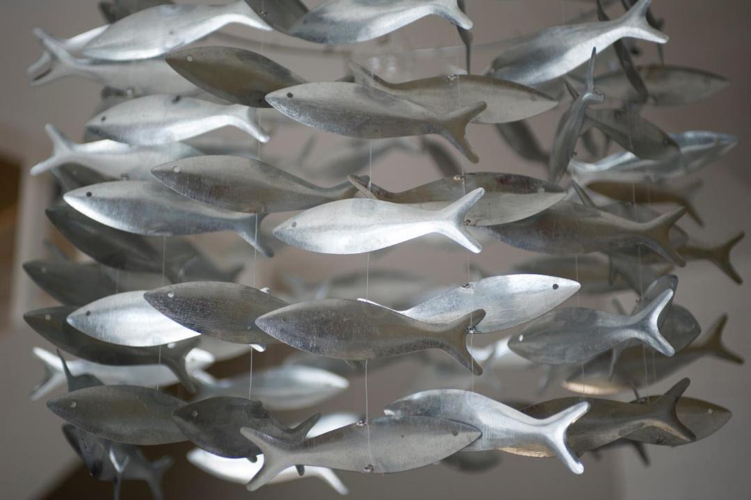 Photo of Others in Port-en-Bessin-Huppain