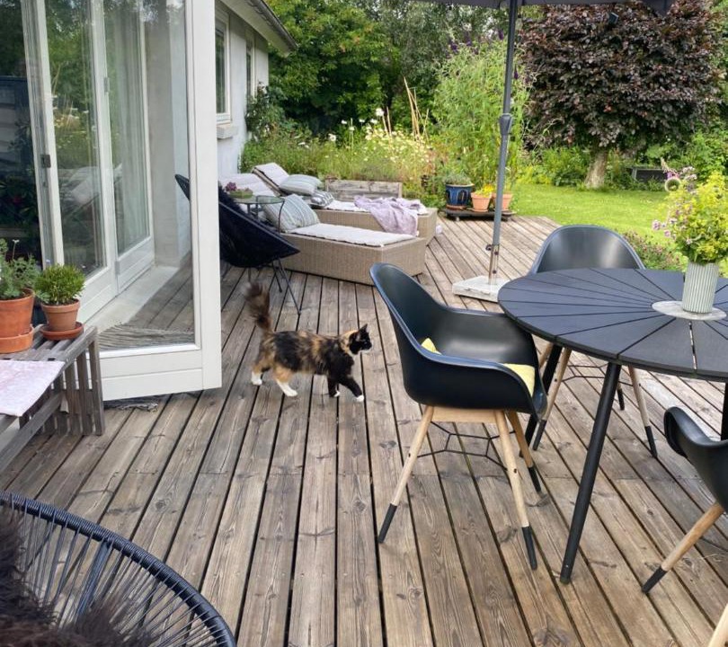 Photo of Others in Skanderborg