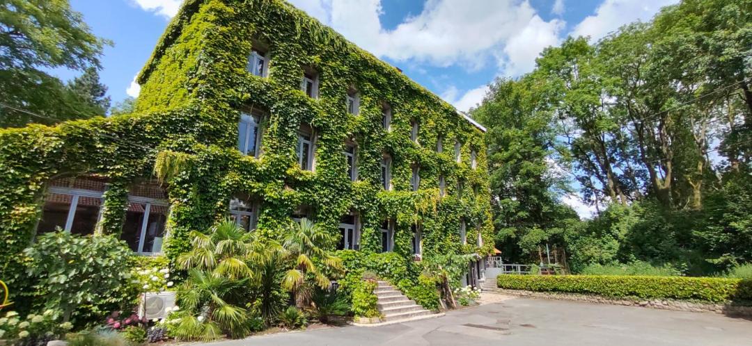 Photo of Others in Artres