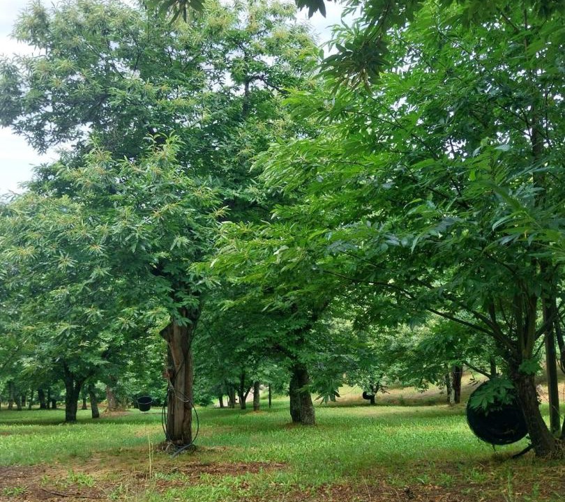 Photo of Outdoor in Lamastre