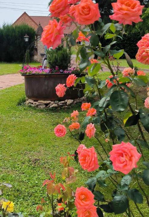 Photo of Outdoor in Chaudenay