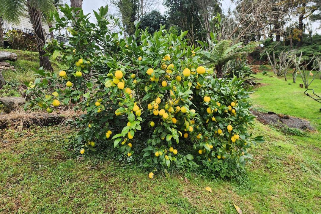 Photo of Outdoor in Thames