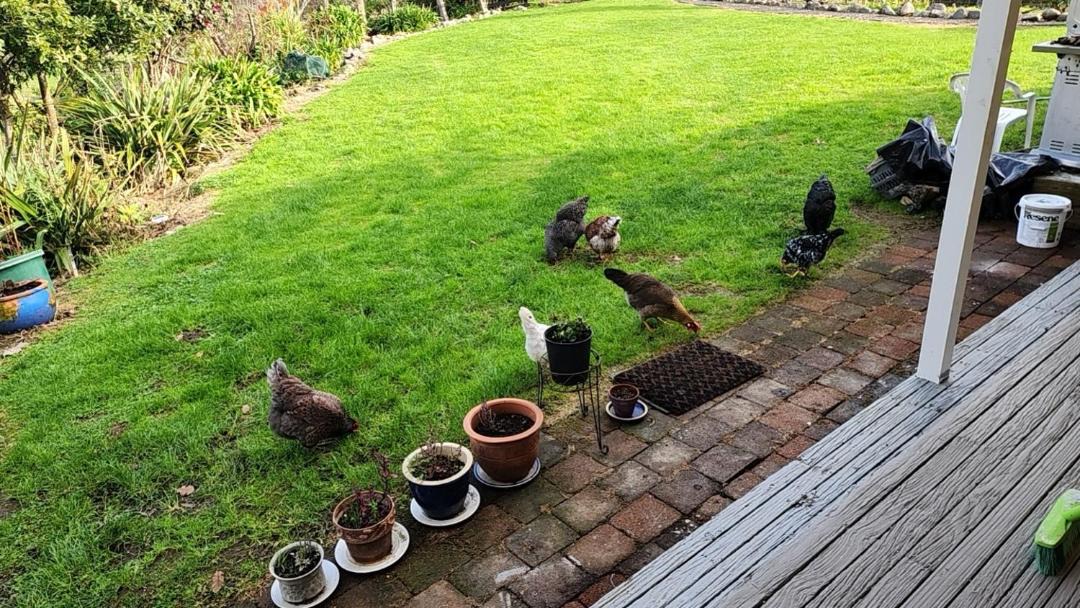 Photo of Others in Thames