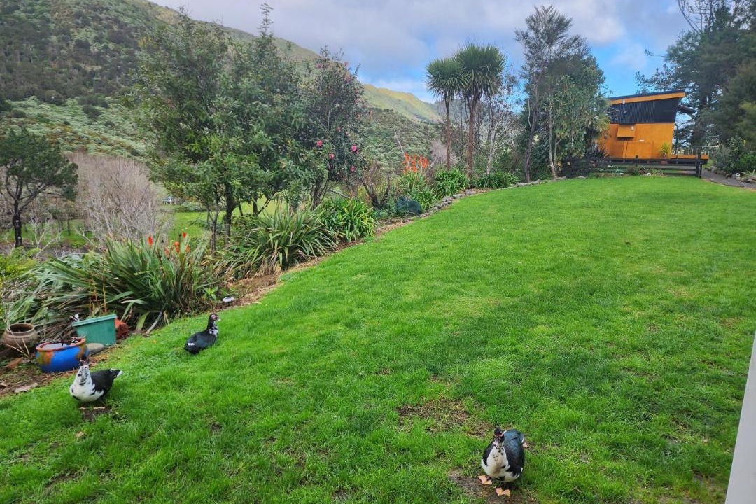 Photo of Outdoor in Thames