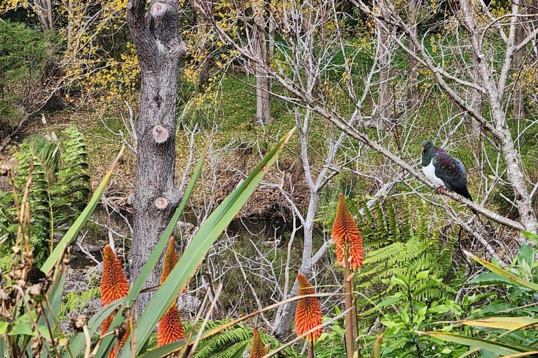 Photo of Others in Thames