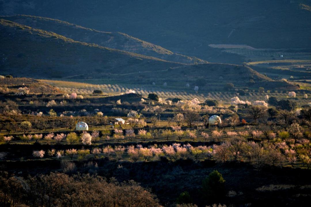 Photo of Others in Bolea