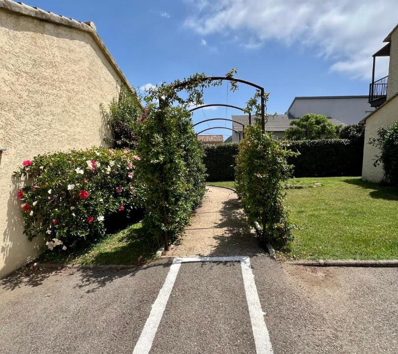 Photo of Others in Sisco