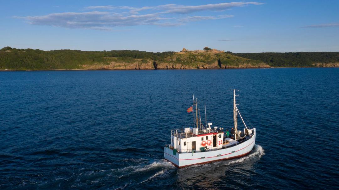 Photo of Others in Nexø