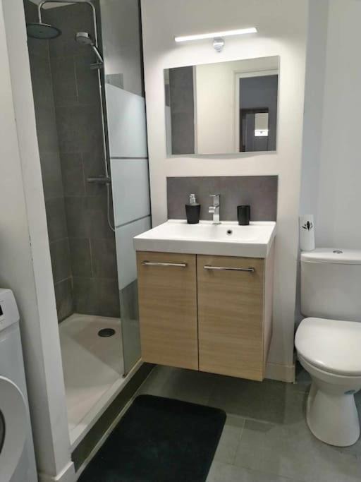 Photo of Bathroom in Roubaix