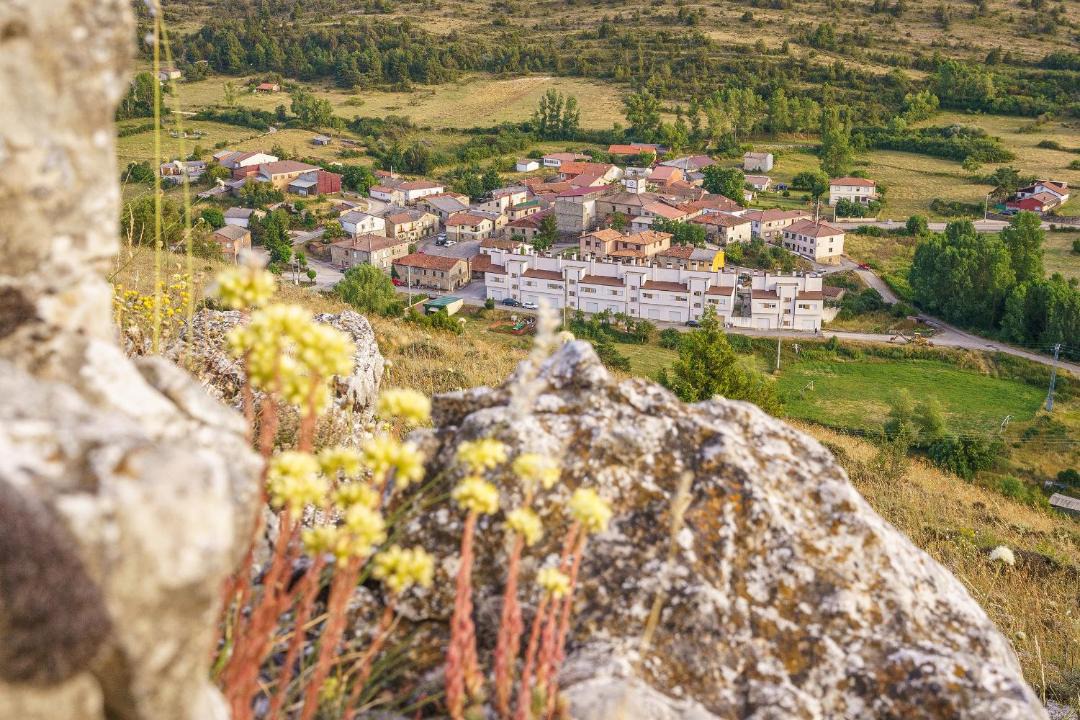 Photo of Others in Vadillo