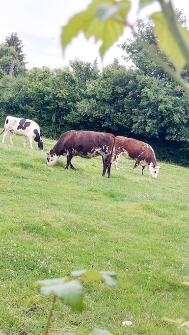 Photo of Others in La Rouge