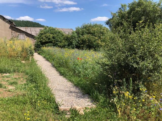 Photo of Outdoor in Saint-Beauzely